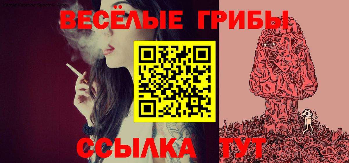 Псилоцибиновые грибы ЛСД  Вход с VPN  Камышин 